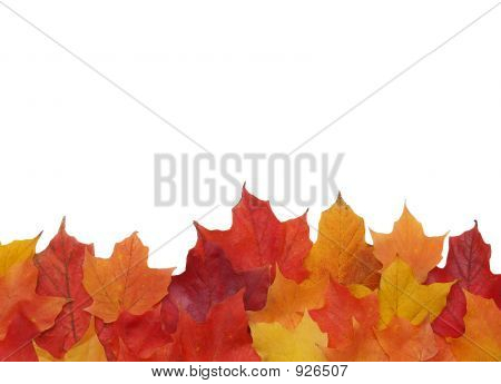 Bordure feuilles de l'automne