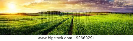 Rural Landscape Sunset Panorama