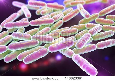 Bacteria Lactobacillus, gram-positive rod-shaped lactic acid bacteria which are part of normal flora of human intestine are used as probiotics and in yoghurt production, 3D illustration