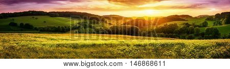 Panoramic sunset over a vast blossoming meadow landscape with hills on the horizon and colorful sky