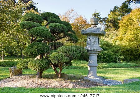 Lanterna di pietra e potate Bonsai Albero in giardino giapponese