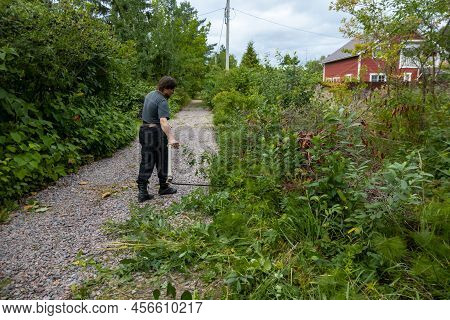 A Man Mows The Grass With A Hand Scythe. Mow The Grass With An Old Scythe. The Farmer Traditionally 