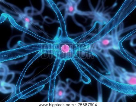 nerve cell