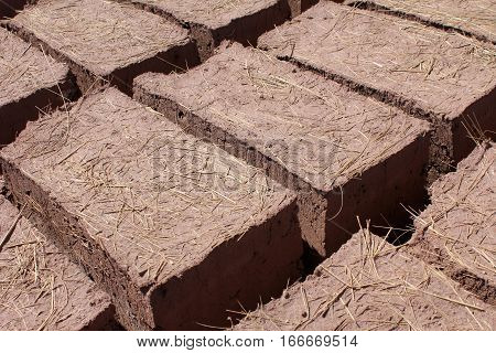 Adobe bricks in the sun to dry