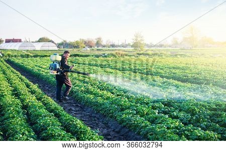 A Farmer Sprays A Potato Plantation With Pesticides. Protecting Against Insect Plants And Fungal Inf