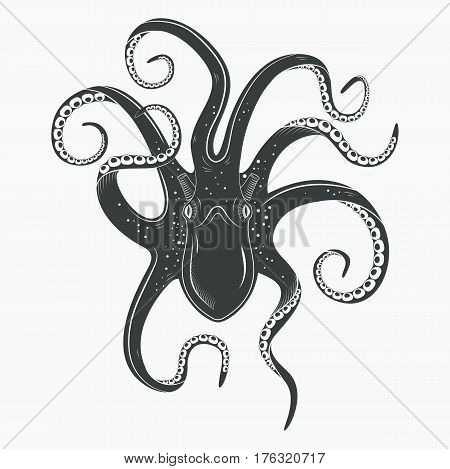 Upside down view on octopoda or octopus with curvy tentacles and suction cups on it. Spineless ocean or sea mollusk, marine cuttlefish. Underwater life tattoo and mascot, zoology predator theme