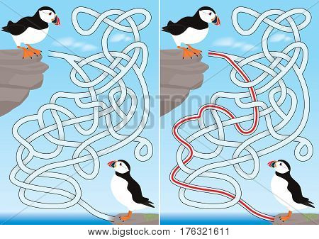 Puffin Maze