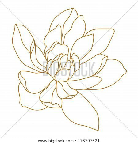 Graphical golden flower illustration. golden flower, contour flower, bloom flower, decorative flower, isolate flower, blossom flower, monochrome flower. Vector.