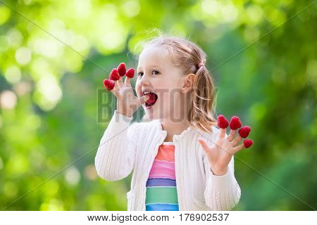 Child Picking And Eating Raspberry In Summer