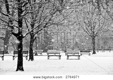 Cena bonita e tranquila de um parque durante um inverno neve