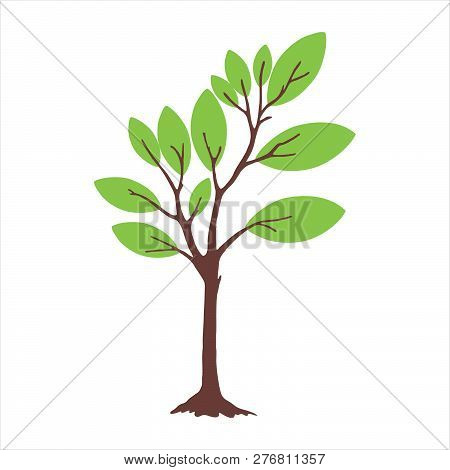 Tree With Leaves. Tree Icon Isolated On White Background. Tree Icon Simple Sign. Tree Icon Trendy An