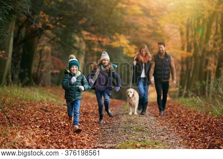 Family Walking With Pet Golden Retriever Dog Along Autumn Woodland Path Together