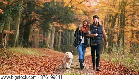 Loving Couple Walking With Pet Golden Retriever Dog Along Autumn Woodland Path Through Trees