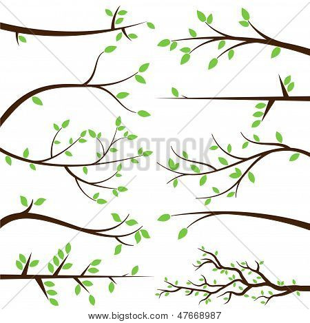 Vector Collection de Silhouettes de branche arbre