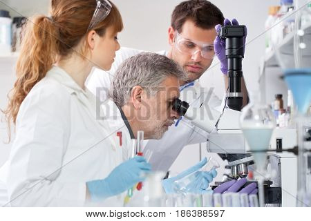 Health care researchers microscoping in life science laboratory. Young research scientists and senior professor preparing and analyzing microscope slides in research lab.