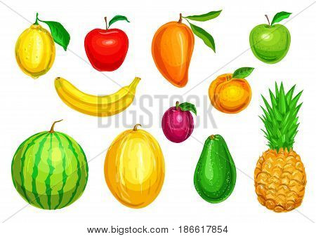 Fruit watercolor illustration set. Red and green apple, lemon, banana, pineapple, mango, watermelon, plum, melon and avocado tropical and garden fruit for diet dessert, fresh juice design