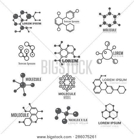 Molecular Logo. Chemistry Dna Molecule Scientific Structure Atom Business Brand Vector Concept. Illu