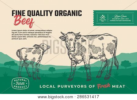 Fine Quality Organic Beef. Abstract Vector Meat Packaging Design Or Label. Modern Typography And Han