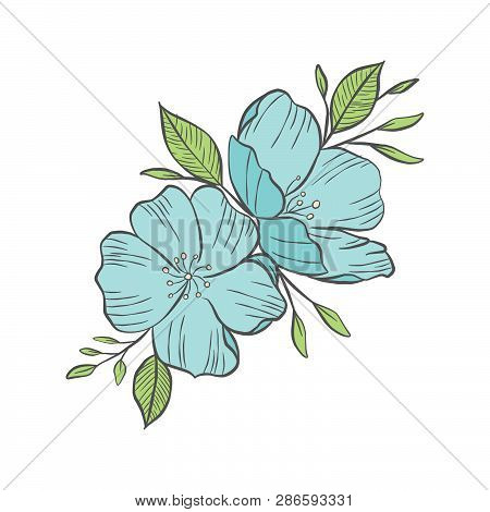 Graphical Flower Illustration. Black Flower, Contour Flower, Bloom Flower, Decorative Flower, Isolat