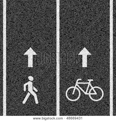 Bicycle and pedestrian paths. Vector.