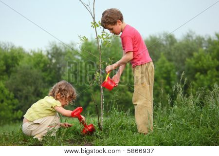 enfants plant l'arbre