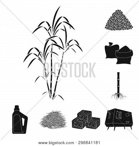 Vector Design Of Sucrose And Technology Logo. Set Of Sucrose And Cane Vector Icon For Stock.