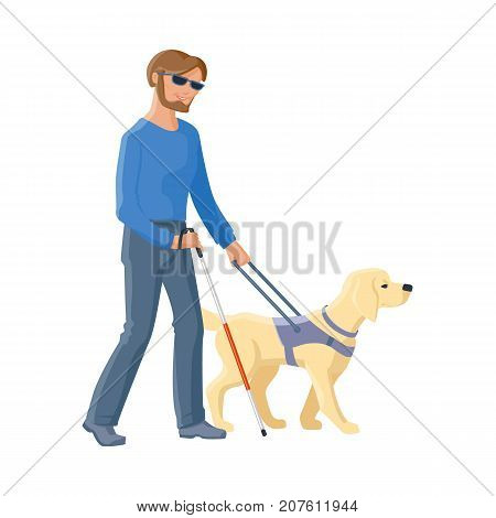 Blind Caucasian man in dark glasses walking with cane and guide dog companion, flat cartoon vector illustration isolated on white background. Flat cartoon blind man walking with a guide dog