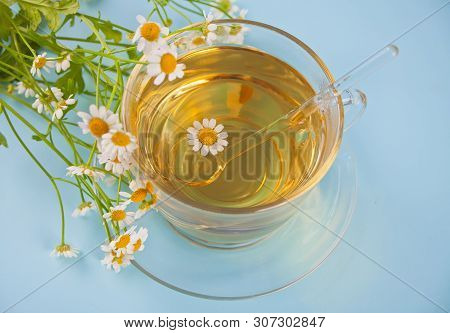 Glass Of Healthy Herbal Camomille Tea. Naturopathy. Matricaria Chamomilla.