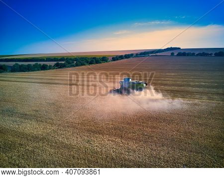 Aerial View On Combine Harvester Gathers The Wheat At Sunset. Harvesting Grain Field, Crop Season. V