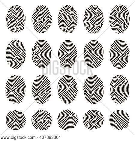 Fingerprint Identification. Biometric Human Fingerprints, Unique Thumb Lines Imprint. Security Finge