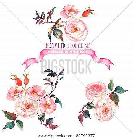 Hand drawn watercolor isolated romantic floral compositions with pink roses, leaves and other flower