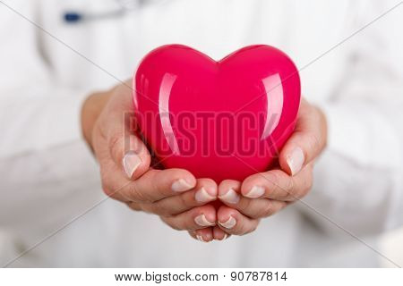 Heart In Hands