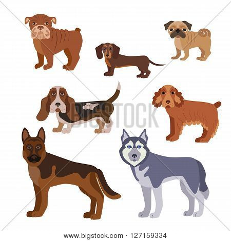 Dog breed set. Illustration of dog breed in flat style. Dog breed vector icons isolated. Dog breed silhouette for dog theme design. Dog breed vector illustration.