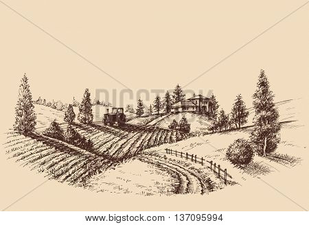 Farm landscape etch, agriculture scene