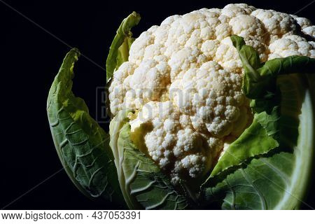 Cauliflower Close-up On A Black Background. Side Lighting. Fresh Head Of Cabbage. Green Vegetables. 