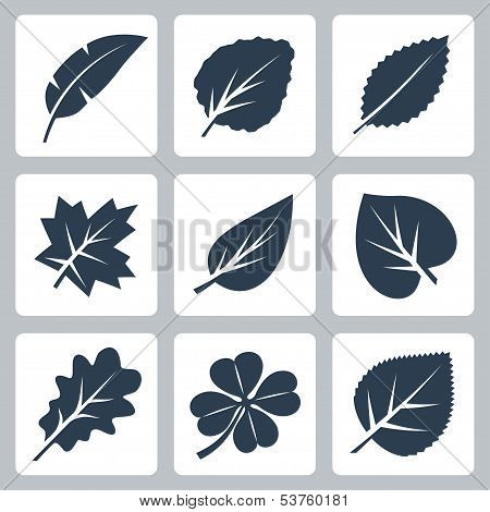 Vector Tree Leaves Icons Set