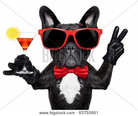 Cocktail Party Dog