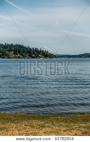 View Of Mount Rainier From Seward Park