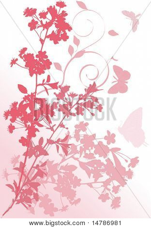 illustration with cherry tree flowers and butterflies silhouette on white background