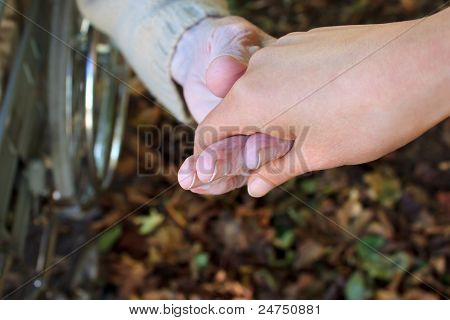 Helping Hand In Autumn