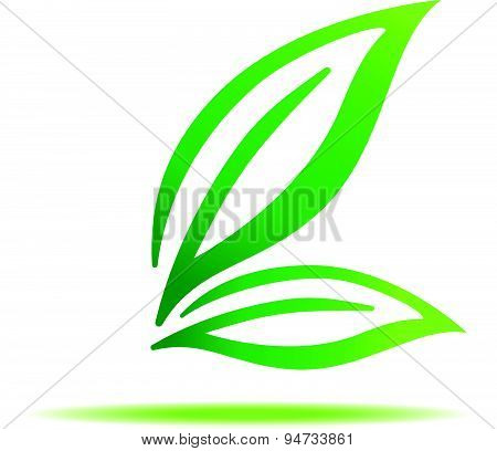 Gren Leaf Symbol Sign Vector Icon