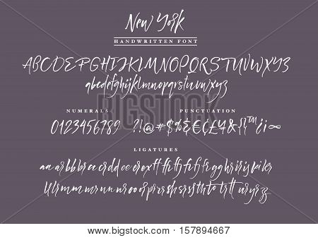 New York Handwritten script font. Brush font. Uppercase, lowercase, numbers, punctuation and a lot of ligatures