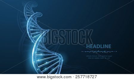 Dna. Abstract 3d Polygonal Wireframe Dna Molecule Helix Spiral On Blue.