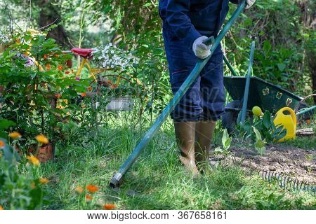 Gardener With A Scythe Cutting Grass In A Garden. Man With Gymboots Scything In Backyard.