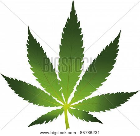 Cannabis leaf icon isolated