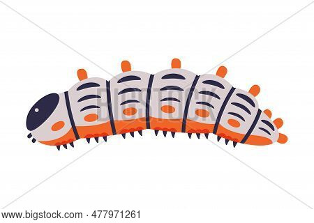 Bright Caterpillar As Larval Stage Of Insect Crawling And Creeping Vector Illustration