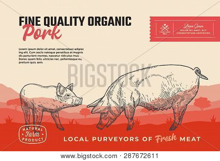 Fine Quality Organic Pork. Abstract Vector Meat Packaging Design Or Label. Modern Typography And Han