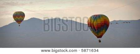 Hot Air Balloon