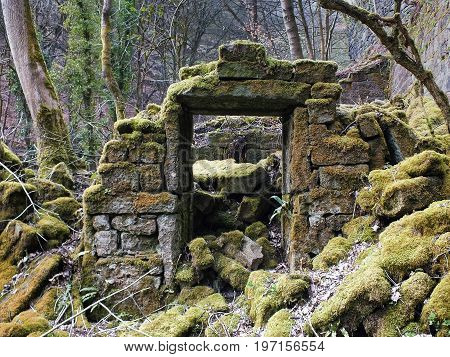 the remains of a derelict abandoned stone house covered in moss and overgrown with trees in a forest in west yorkshire england