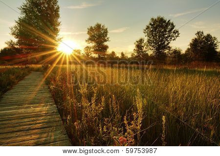 Prairie Sunset